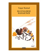 Bugünlerde Bahar İndi (Küçük Boy)