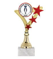 ODAK KUPA - Genel Kupalar - GN-043 B - 21 cm