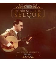Münir Nurettin Selçuk - Aheste Çek Kürekleri (Plak)