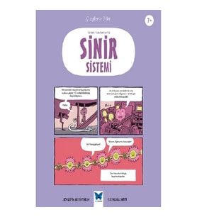 Temel Kavramlarla Sinir Sistemi