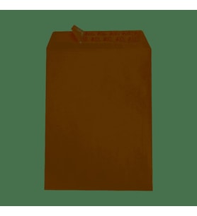 Asil Doğan Torba Zarf Kraft 24X32 250Li