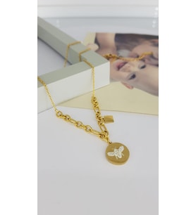 Arı Gold Çelik Kolye Sns202890