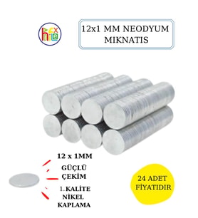 NEODYUM MIKNATIS NİKEL KAPLAMA 12MM X1 MM  24 ADET FİYATIDIR (Gümüş)