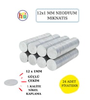 NEODYUM MIKNATIS NİKEL KAPLAMA 12MM X1 MM  24 ADET FİYATIDIR (Gümüş)