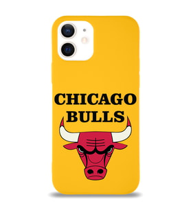 Apple iPhone 12 Mini  Lansman Kılıf Chicago Bulls Tasarımlı Altı Kapalı İçi Kadife Kaplı  Kapak (Şeffaf)