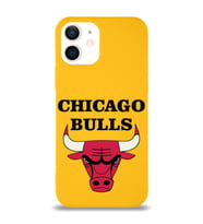 Apple iPhone 12 Mini  Lansman Kılıf Chicago Bulls Tasarımlı Altı Kapalı İçi Kadife Kaplı  Kapak (Şeffaf)