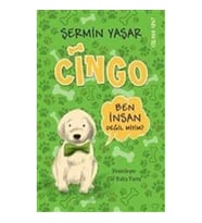 Cingo