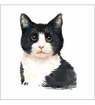 Sevimli Kedi Sticker 4  Duvar Sticker 30x25 CM