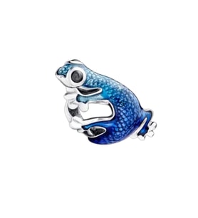 Renk Geçişli Geko Charm  925 Ayar Gümüş