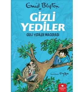 Gizli Yediler - Gizli Yediler Macerası