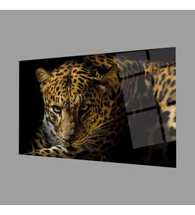 Leopar Hayvan 4mm Dayanıklı Cam Tablo Temperli Cam, Leopard Glass Wall Decor