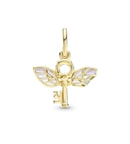 Harry Potter koleksiyonundaki Kanatlı Anahtar Charm