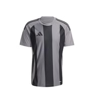 Adidas Striped 24 Jsy Erkek Futbol Forması Gri IW2145
