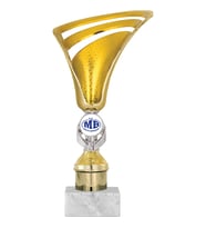ODAK KUPA - Genel Kupalar - GN-024 C - 26 cm
