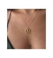 Elmayı Isıran Yılan 925 Ayar (Gold)