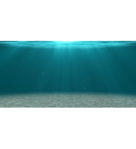 Kanki Pet KP1055206 Akvaryum Arka Fon Yapıştırma 105 x 52 CM