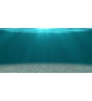 Kanki Pet KP1055206 Akvaryum Arka Fon Yapıştırma 105 x 52 CM