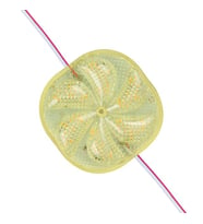 12 Volt 3 Watt Sarı Sabit 6565-2835 Modül Led (4767)