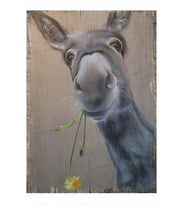 Karizma Tablo Çiçekli Karakaçan Eşşek Art Mdf Poster 25cmX 35cm
