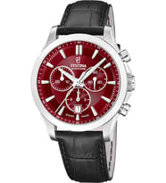 Festina F20094-6