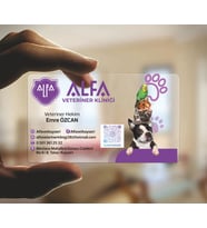 0.500 MİKRON ŞEFFAF BUZLU PVC KARTVİZİT - VETERİNER - 500 ADET