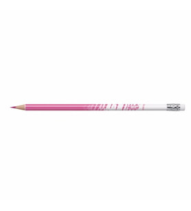 Bic Evolution İllision Silinebilir Kuru Boya 24 Renk 987869
