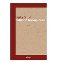 Cebinde Bu Kaç Öykü