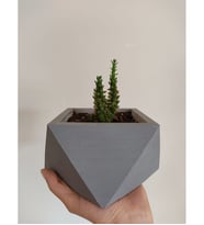 Geometrik Taş Saksı 15-20 cm çap