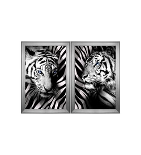 Siyah Beyaz Kaplanlar Temalı 2 li Kanvas Tablo Seti 100 x 70 cm Silver Çerçeve