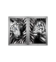 Siyah Beyaz Kaplanlar Temalı 2 li Kanvas Tablo Seti 100 x 70 cm Silver Çerçeve
