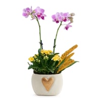 Kalp Vazoda Mini Mor Orkide ve Sarı Kalanchoe
