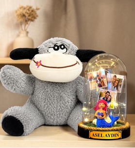 Kişiye Özel 3 Fotoğraflı Yazılı LED Işıklı Fanus ve Peluş Eşek Hediye Seti (denizkızı)