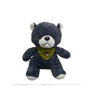 Sevimli Fularlı Ayı Uyku Arkadaşi 30 cm (Çok Renkli)