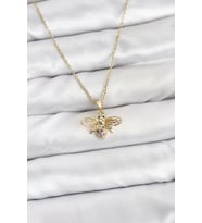 316L Çelik Zincir Gold Renk Sinek Model Zirkon Taşlı Kadın Kolye - TJ-BKO10875