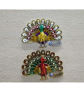 Tuskuşu Magnet