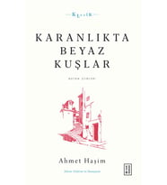 Karanlıkta Beyaz Kuşlar
