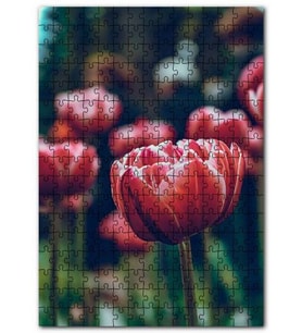 Cakapuzzle Kırmızı Lale Yakın Çekim Flu Arkaplan Puzzle Yapboz MDF (Ahşap) (120 Parça)