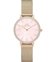 Daniel Wellington DW00600663 Kadın Kol Saati