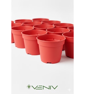 5 Adet Saksı Yetiştirme Çoğaltma Saksısı 8.5 cm
