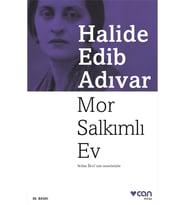 Mor Salkımlı Ev