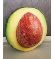 Avakado Desenli Dekoratif Çok Amaçlı Yer Bahçe Balkon Kamp Minderi Çapı 65 Cm