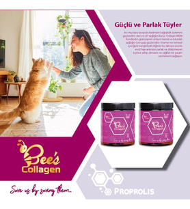 Bee's Collagen Kedi Propolis 2li Set