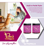 Bee's Collagen Kedi Propolis 2li Set