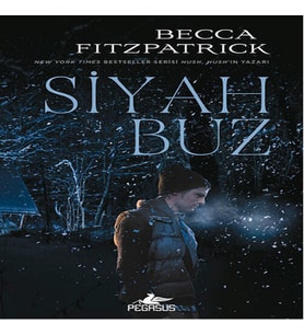 Siyah Buz