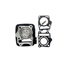 TVS RAIDER 125 SİLİNDİR SET N6321880