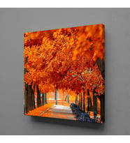 SONBAHARIN BÜYÜSÜ TEMALI KANVAS TABLO 200x200cm
