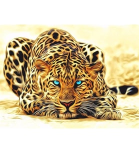 Leopar Sayılarla Boyama Seti 50x65 cm (Tuvale Gerili)