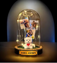 Kişiye Özel İsimli ve 3 Fotoğraflı Fanus, Beyaz Ayıcıklı ve Led Işıklı