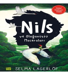 Nils ve Olağanüstü Maceraları