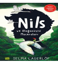 Nils ve Olağanüstü Maceraları